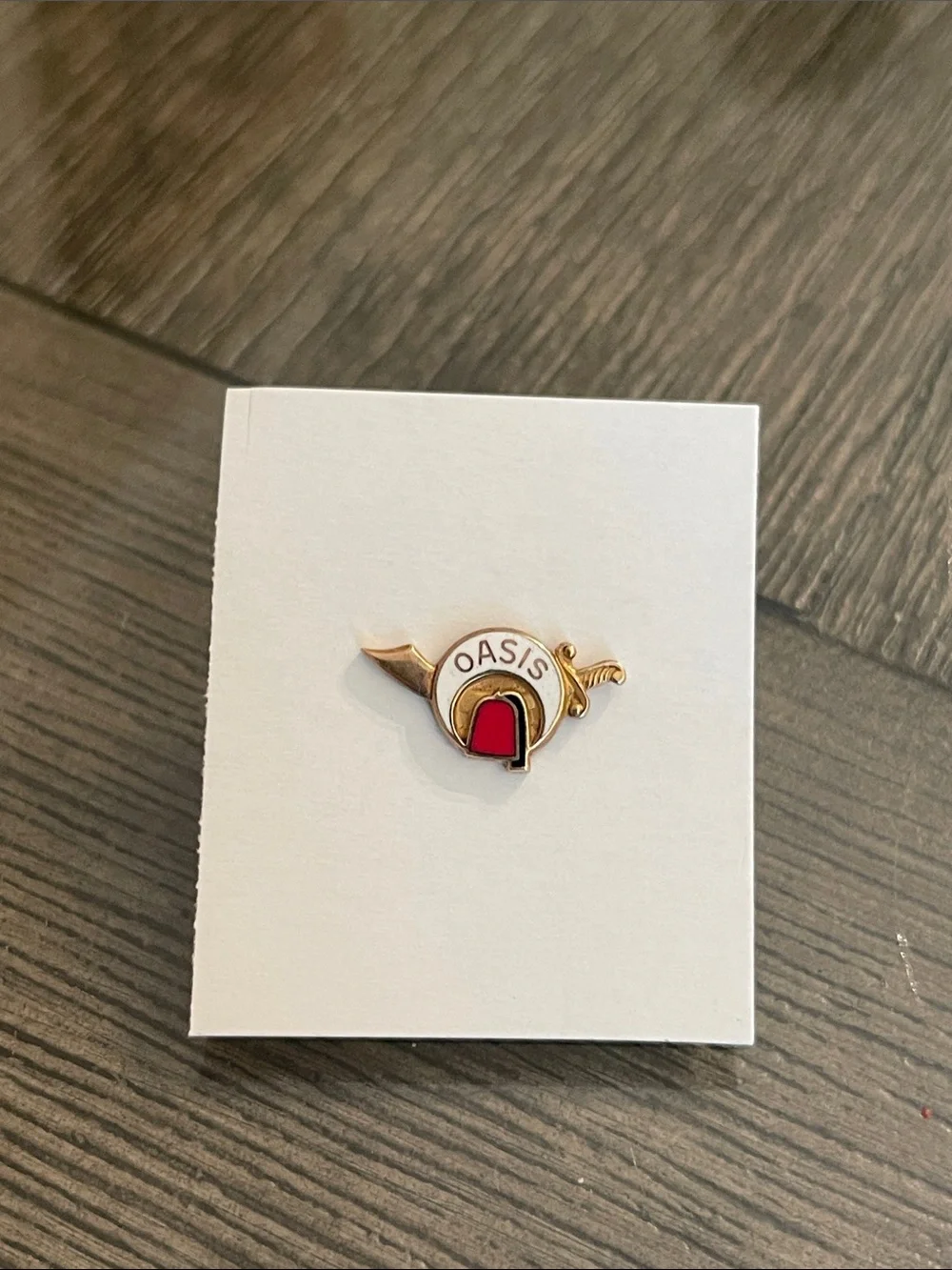 Vintage Masonic Shriners OASIS Gold-tone & Enamel Lapel Pin